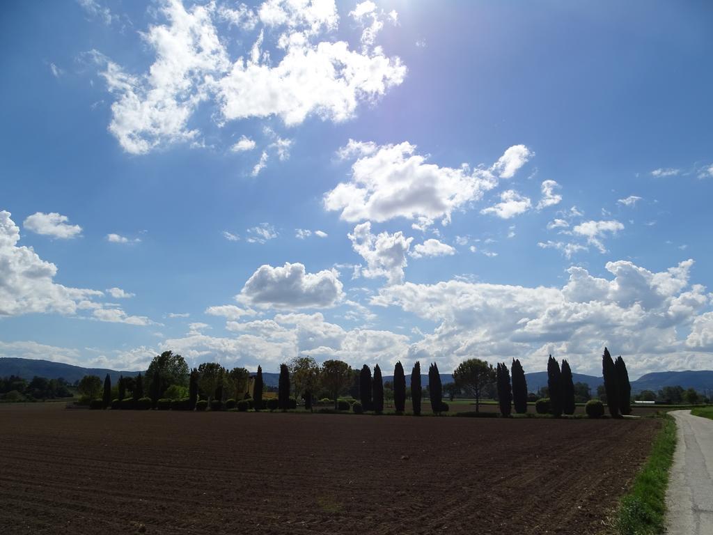 La Vecchia Stalla B&B Narni Exteriör bild